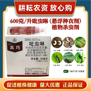 拜耳高巧吡虫啉悬浮种衣剂拌种剂花生小麦蚜虫蛴螬蓟马杀虫剂农药