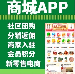 商城APP开发秒杀拼团积分会员多商户入驻海外分销商城小程序定制