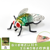 实心儿童仿真昆虫玩具动物模型苍蝇绿头苍蝇红头丽蝇认知礼品摆件