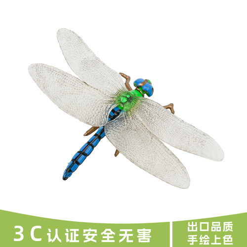 昆虫模型蜻蜓实心无异味出口品质