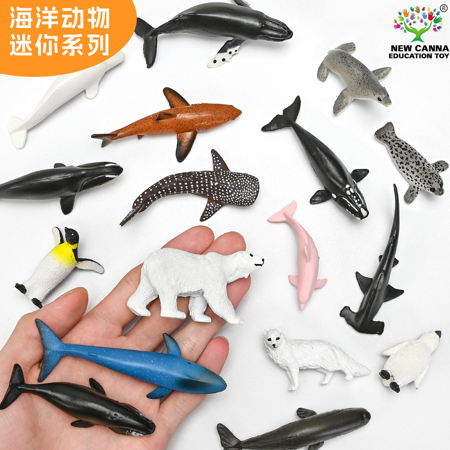 正版迷你仿真海洋动物模型玩具海底世界蓝鲸海豚鲨鱼微缩装饰摆件