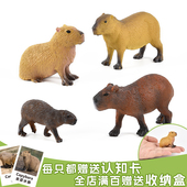 仿真水豚模型啮齿动物玩具野生动物认知礼品摆件实心儿童