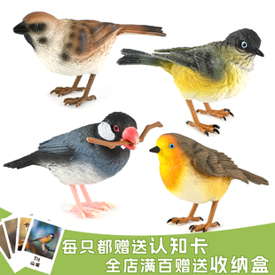 实心仿真飞禽动物模型玩具山雀麻雀知更鸟文鸟早教认知盆景装饰