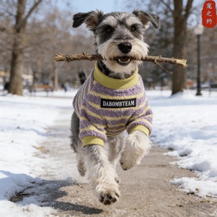 狗狗衣服2025新款 比熊雪纳瑞中小型犬加厚保暖外出两脚狗衣服 冬装