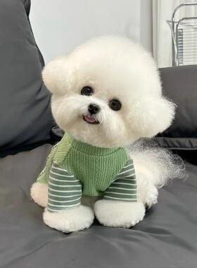 舒适保暖打底衫宠物猫咪泰迪比熊狗狗衣服秋冬新款D字拼接卫衣