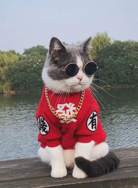 可爱蓝猫布偶衣服防掉毛宠物猫咪狗狗衣服加绒加厚卫衣中小大型犬
