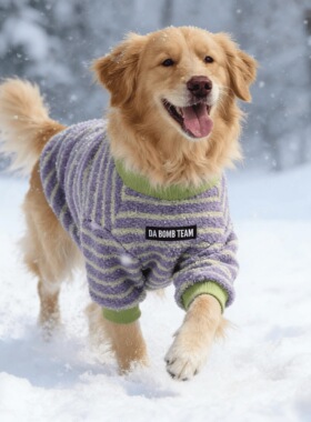 狗狗衣服2025新款冬装金毛边牧中大型犬加绒加厚保暖两脚衣狗衣服