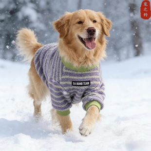 狗狗衣服2025新款 金毛边牧中大型犬加绒加厚保暖两脚衣狗衣服 冬装