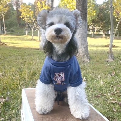 雪纳瑞卡通印花圆领卫衣加绒保暖