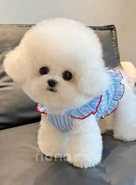 狗狗衣服夏季薄款泰迪比熊博美雪纳瑞小型犬宠物猫咪公主裙连衣裙