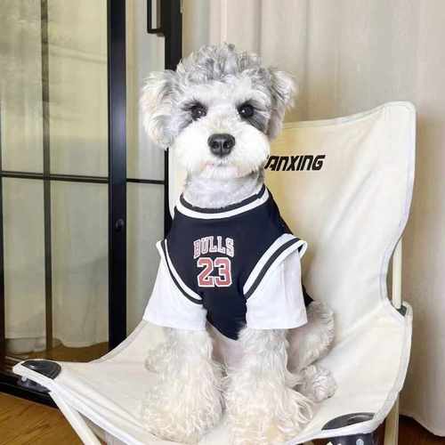 夏季薄款假两件大型犬狗狗衣服