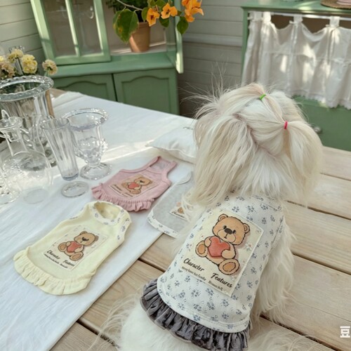 春夏猫狗小型犬小熊家居T恤