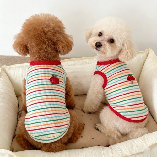 春夏小型犬彩虹条纹绣花吊带背心