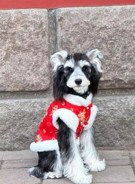 龙年拜年无袖红色唐装泰迪雪纳瑞比熊马尔济斯加绒冬装狗狗新年装