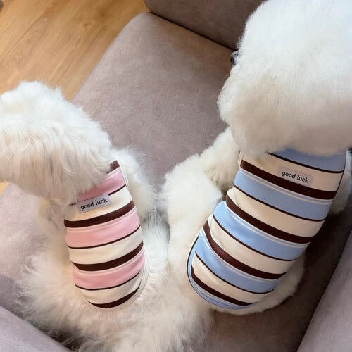 春夏新款猫狗条纹薄款无袖背心