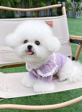 可爱娃娃领开衫比熊猫咪泰迪宠物狗狗衣服秋冬新款蕾丝边针织卫衣