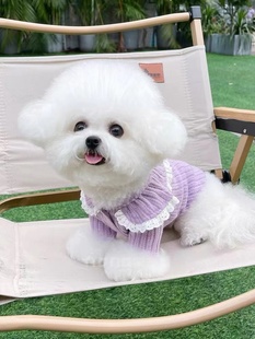 可爱娃娃领开衫 蕾丝边针织卫衣 比熊猫咪泰迪宠物狗狗衣服秋冬新款