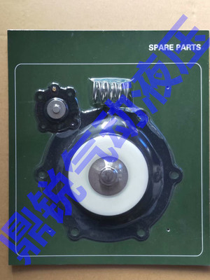 淹没式维修包弹簧脉冲阀