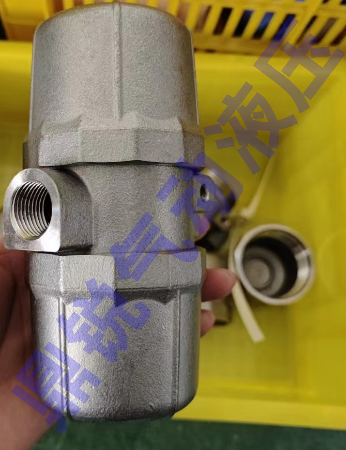 304不锈钢自动排水器 不锈钢排水器 30公斤压力排水器 ZDPS-15