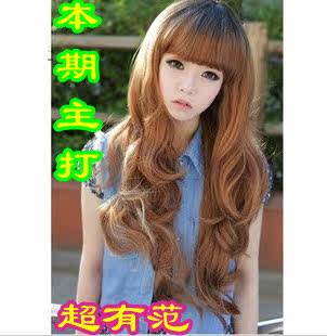 Perruque Les cheveux longs - Ref 2609123 Image 1