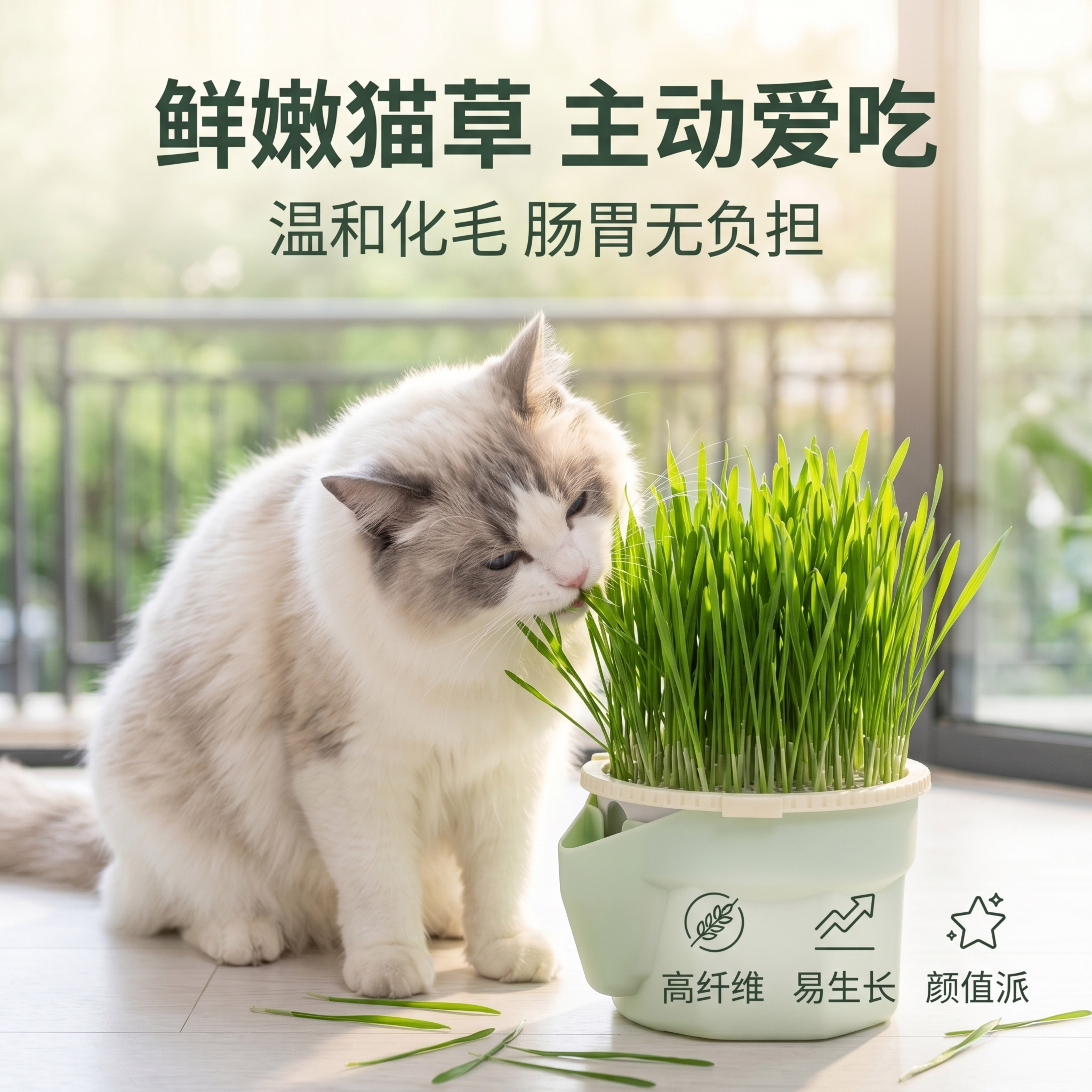 笑笑鸭水培猫草零食种植套装绿色猫草/猫草片