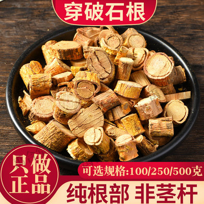 穿破石中药材纯根部正品川破石中草药拓树根地棉根九层皮成都发货