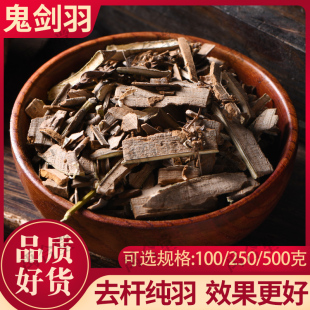 鬼箭羽中药材 鬼见羽卫矛 六月凌100/250/500克正品鬼见羽 鬼剑羽