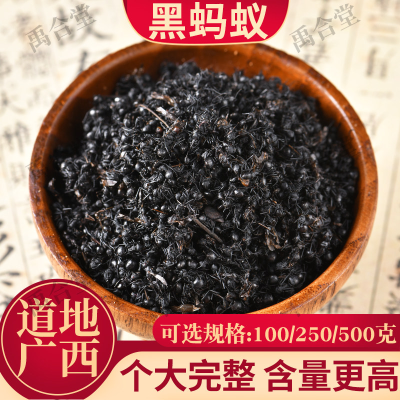 小黑蚂蚁中药材高品质泡酒蚂蚁酸形态完整不加重广西50/100/250克