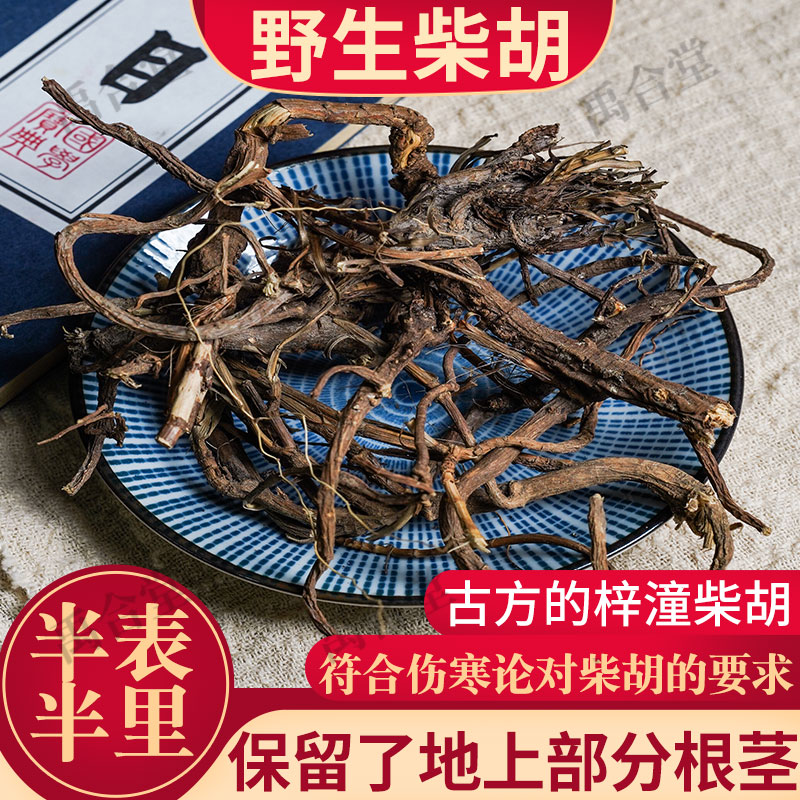 北柴胡中药材四川阿坝桂枝汤野生
