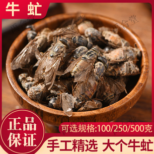 禹合堂牛虻中药材 牛虻虫精选大个牛蚊子 牛苍蝇正品牛虻虫药材