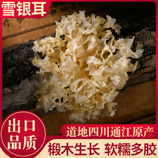 禹合堂通江银耳雪耳四川椴木儿童孕妇干货无硫白木耳莲子羹糯耳