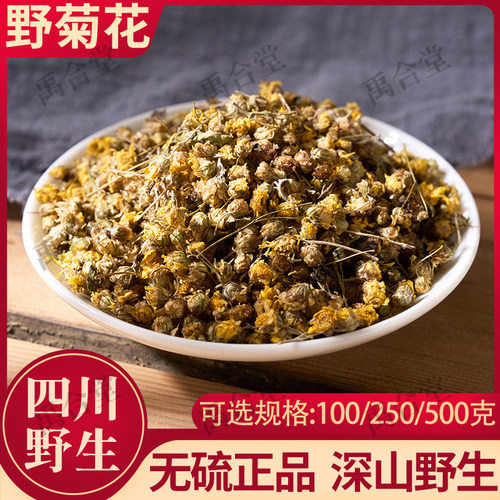 野菊花四川野生花茶药用