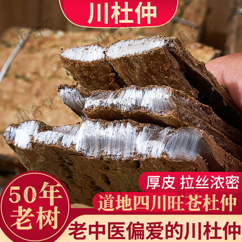 四川杜仲野生厚皮拉丝好有盐杜仲