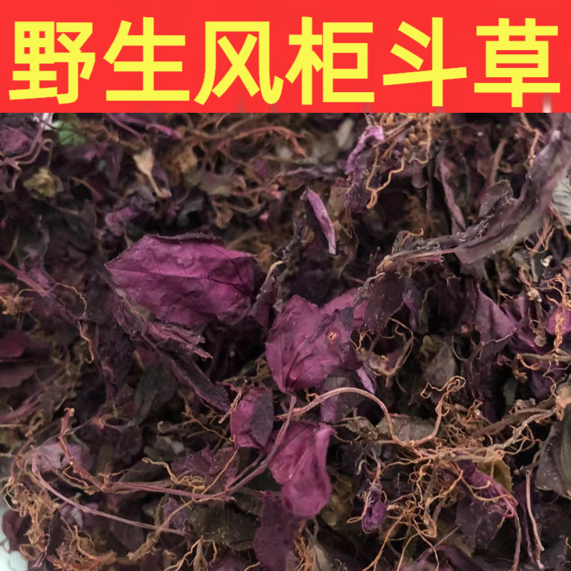 风柜斗草一斤多少钱图片