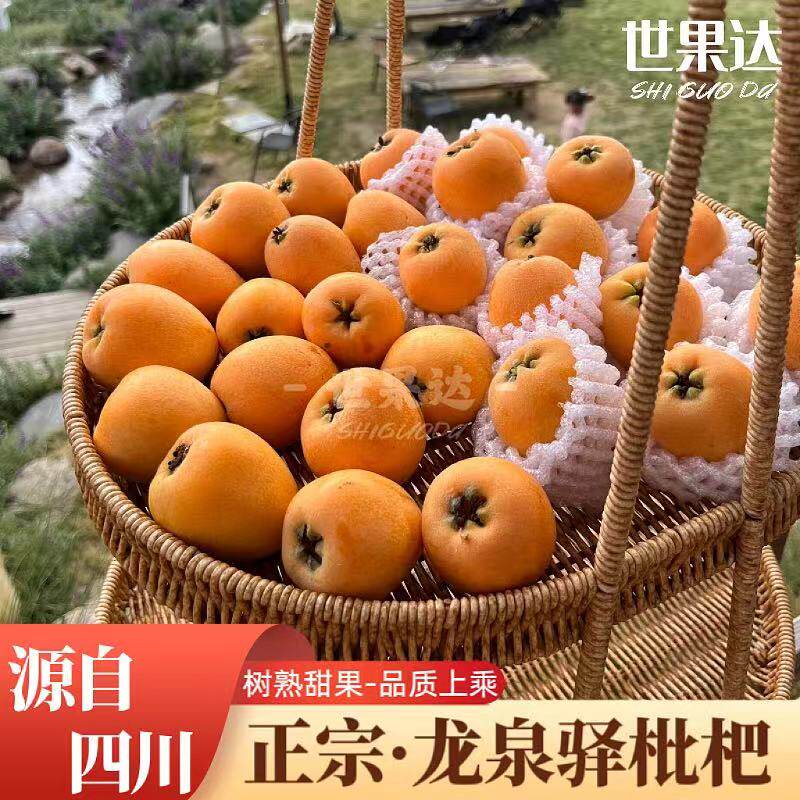 正宗四川龙泉驿大五星枇杷现摘山琵琶果仁寿汉源成都新鲜水果特产
