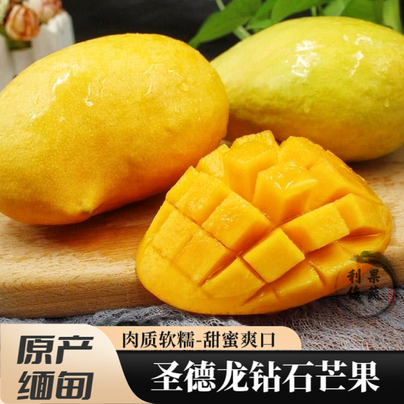 云南缅甸圣德龙芒果钻石盛德隆鹰嘴小鸡芒果保山特产新鲜水果整箱