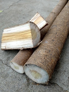 桑木料原木料实木硬木料黄桑木DIY手工野生老桑枝棒经络微弓