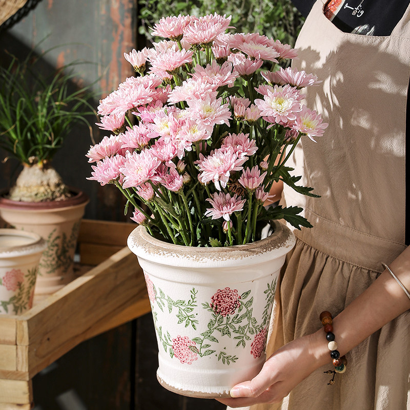 陶瓷多肉花盆家用蝴蝶兰花轻奢高级感大小号创意复古盆景盆栽客厅,鲜花速递/花卉仿真/绿植园艺,花盆,淘宝优惠券,粉丝福利购,淘宝优惠卷
