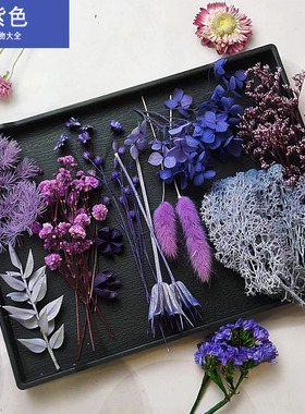 紫色永生花戒指胸花材diy干花果子叶子手工制作伴手礼手办账装饰