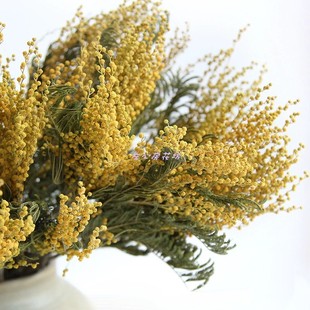 永生花金合欢干花圣诞花香薰蜡烛手工diy自然装饰干花干枝