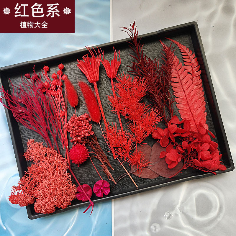 红色永生花花材diy戒指胸花干花果子叶子手工伴手礼手办账装饰