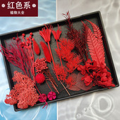 红色永生花花材diy戒指胸花干花果子叶子手工伴手礼手办账装 饰