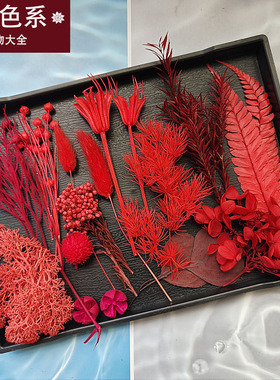 红色永生花花材diy戒指胸花干花果子叶子手工伴手礼手办账装饰