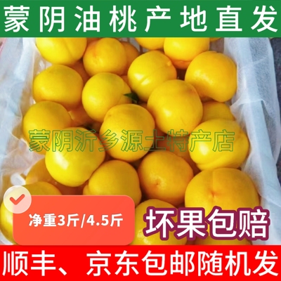山东蒙阴黄金油桃5斤新鲜水果当季现摘黄肉蜜桃脆甜桃子大果包邮