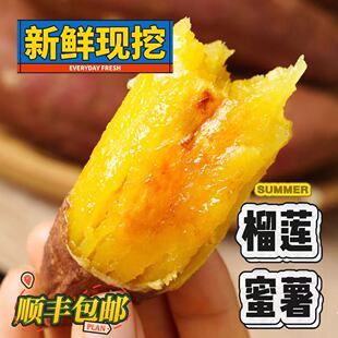 【顺丰】正宗榴莲蜜薯紫薯烤地瓜山芋红瑶黄心红薯新鲜农家自种甜