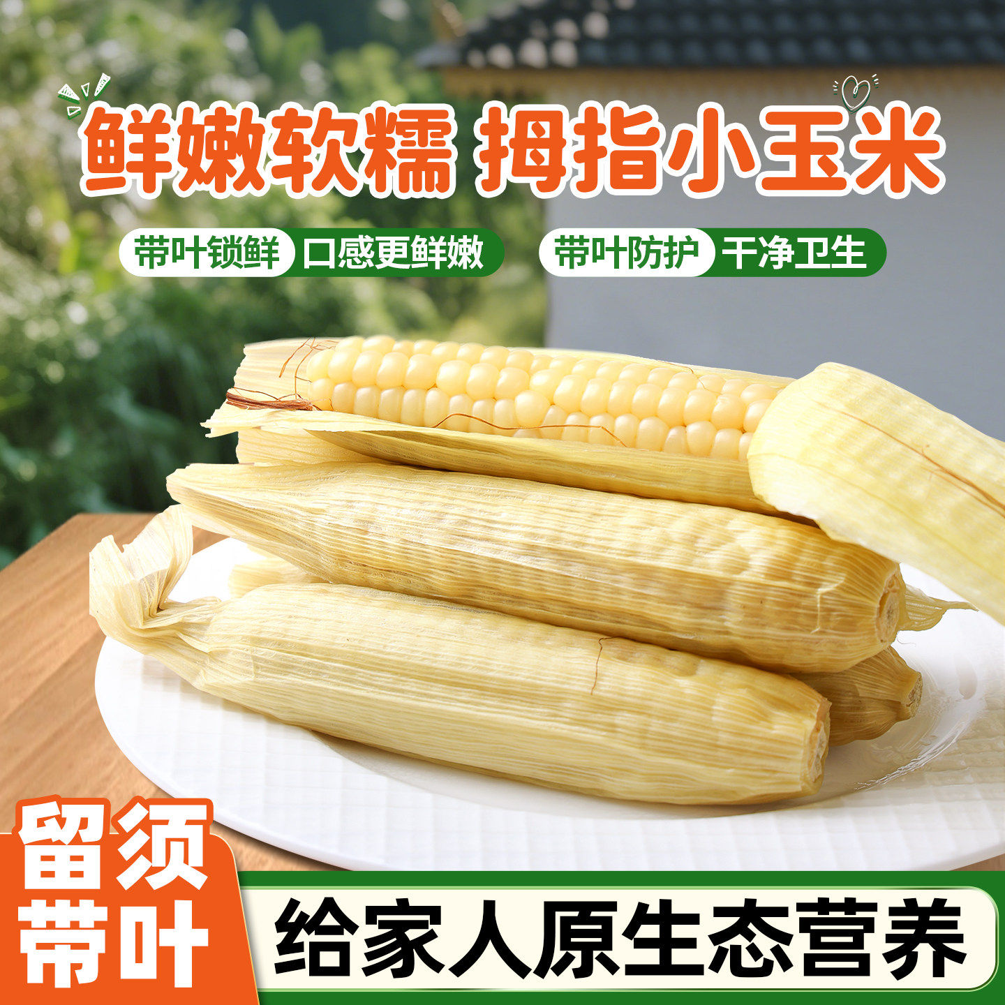 薯云丰西双版纳香糯拇指玉米非转基因手指玉米宝宝早餐真空包装
