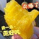 顺丰 蜜甜丝滑榴莲蜜薯红瑶地瓜新鲜现挖现发番薯沙地糖心红薯