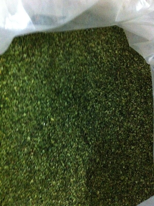 安溪铁观音新茶特价茶末茶粉片茶心 茶梗茶枕消毒杀菌饮用散茶