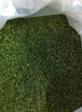 安溪铁观音新茶特价茶