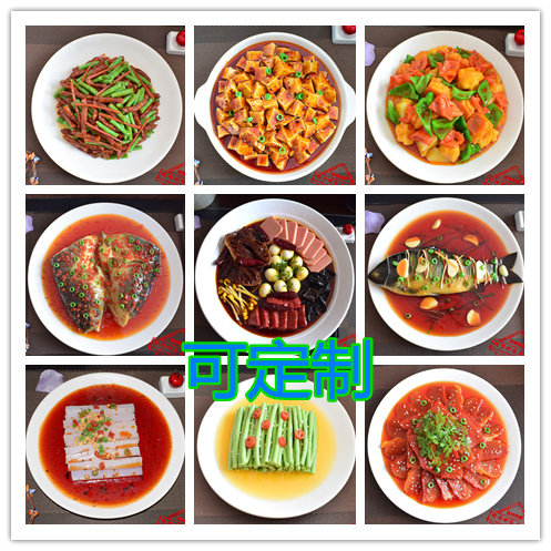 仿真菜品树脂模型中餐炒菜饭假菜肴食品样品定做拍摄道具厂家直销